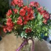 Ramo color terracota floralbir